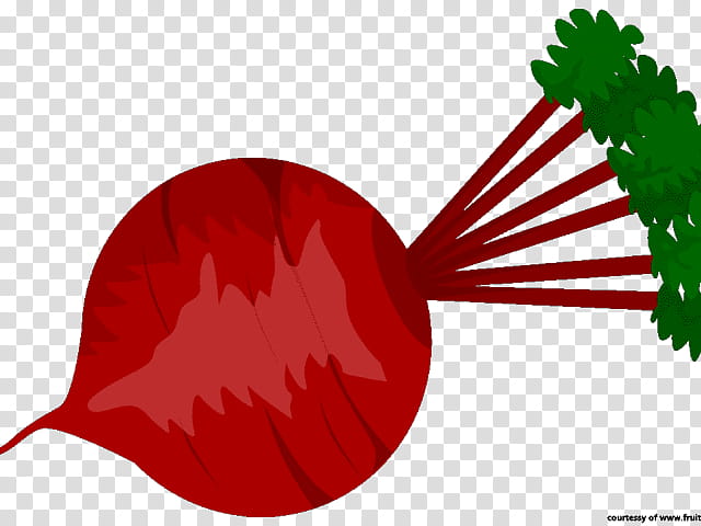 Vegetable, Beetroots, Drawing, Cartoon, Red, Leaf transparent background PNG clipart