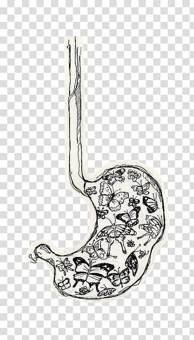 Kawaii , stomach illustration transparent background PNG clipart