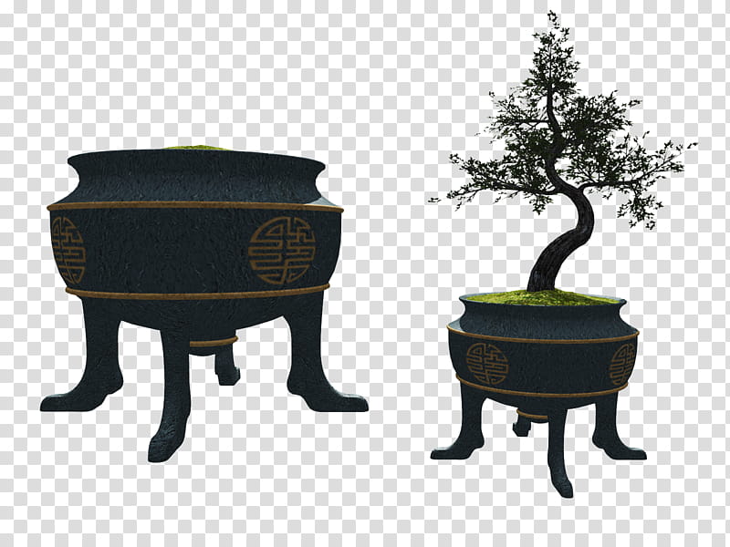 bonsai plant transparent background PNG clipart