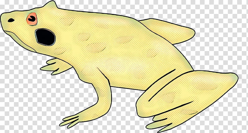 Yellow Tree, Toad, True Frog, Tree Frog, Reptile, Line Art, Cartoon, Beak transparent background PNG clipart