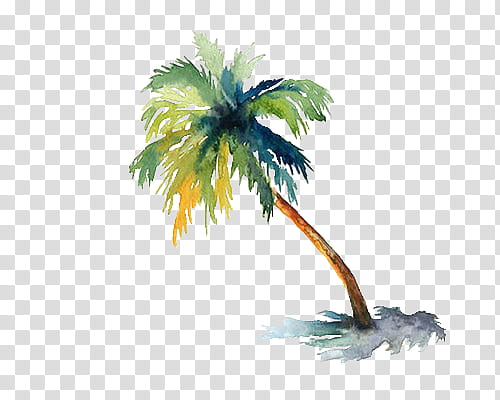 green and brown coconut tree transparent background PNG clipart