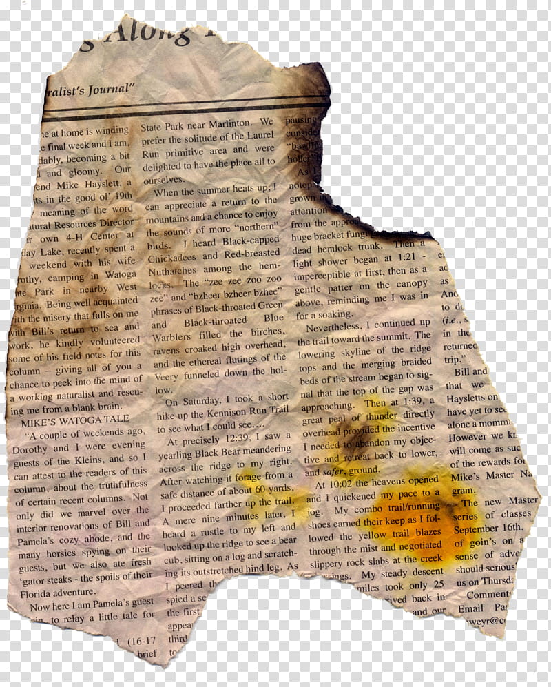 newspaper png