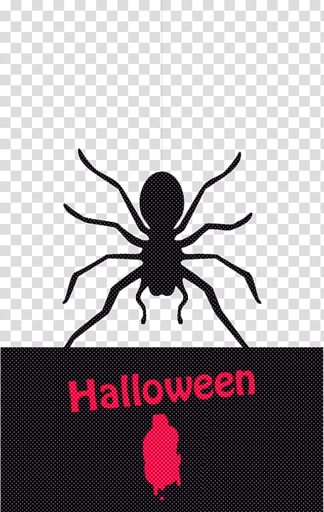 spider black logo text arachnid, Tarantula, Pest, Insect transparent background PNG clipart