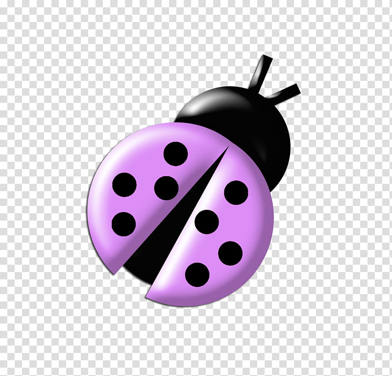 Ladybugs Colours, black and purple ladybug illustration transparent background PNG clipart