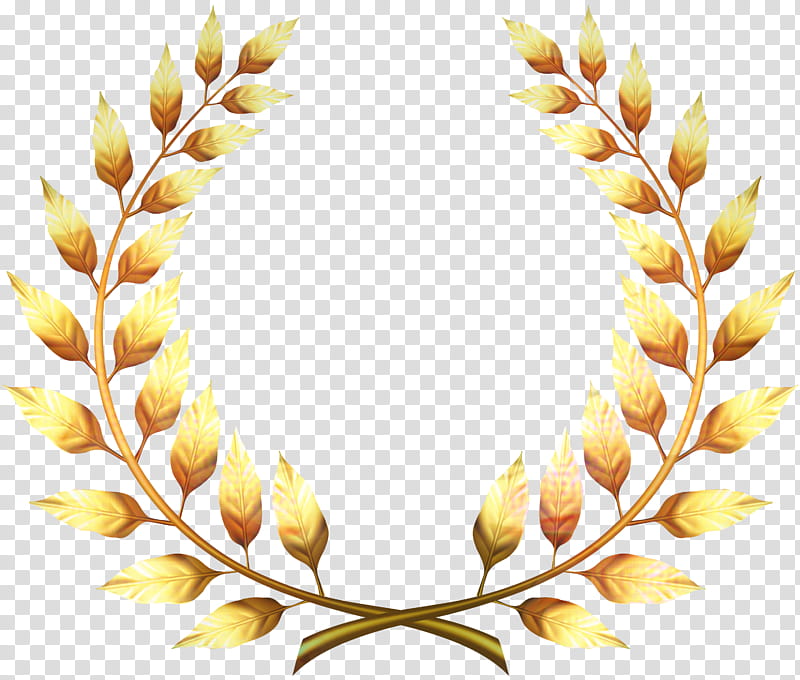 Gold Laurel, Laurel Wreath, Bay Laurel, Olive Wreath, Olive Branch, Drawing, Leaf, Yellow transparent background PNG clipart