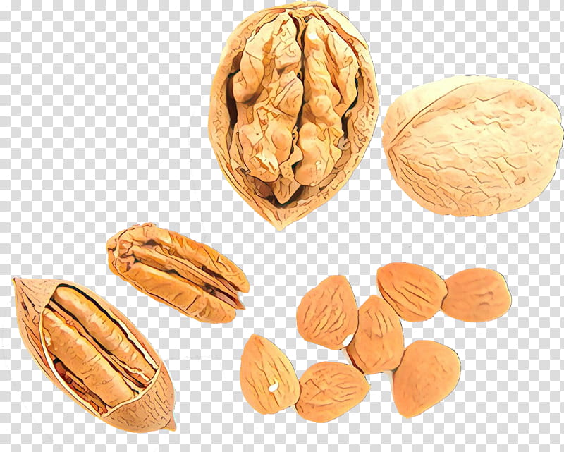 walnut nut nuts & seeds almond food, Nuts Seeds, Apricot Kernel, Pecan, Superfood, Plant, Ingredient transparent background PNG clipart