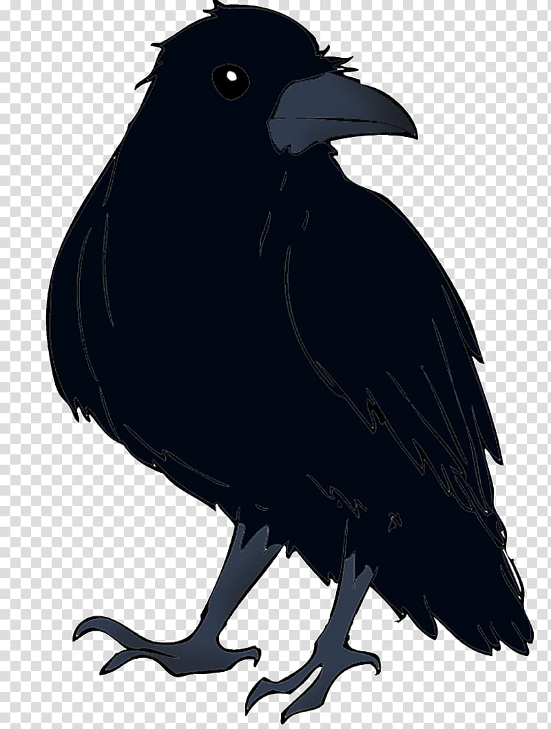 Family Silhouette, American Crow, New Caledonian Crow, Rook, Common Raven, Pied Crow, Beak, Cartoon, Crow Family, Crows transparent background PNG clipart