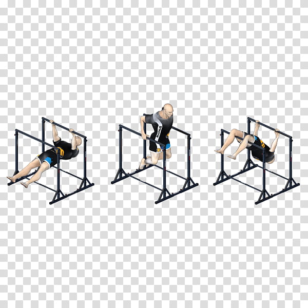 Table, Dip, Dip Bar, Parallel Bars, Pushup, Training, Exercise, Physical Fitness transparent background PNG clipart