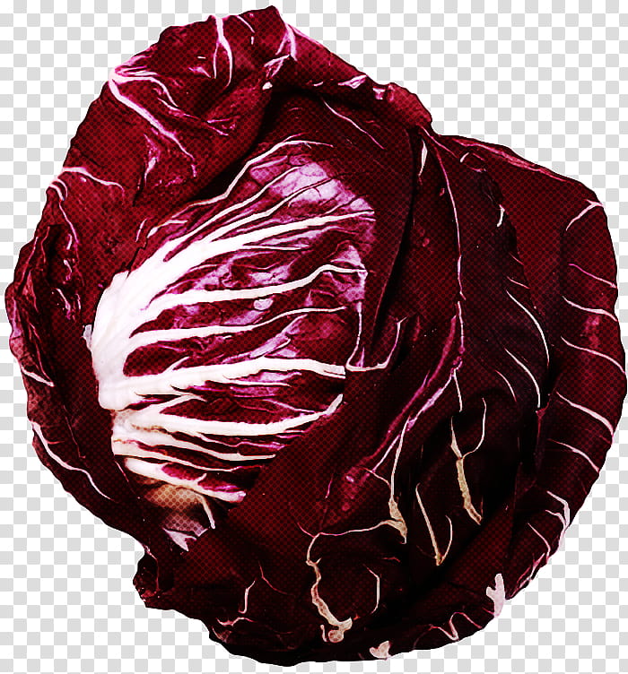 red cabbage cabbage red radicchio leaf vegetable, Wild Cabbage, Maroon, Red Leaf Lettuce, Food transparent background PNG clipart