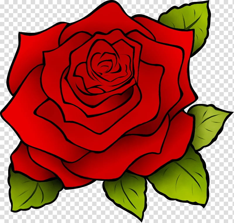 Garden roses, Watercolor, Paint, Wet Ink, Red, Flower, Petal, Hybrid Tea Rose transparent background PNG clipart
