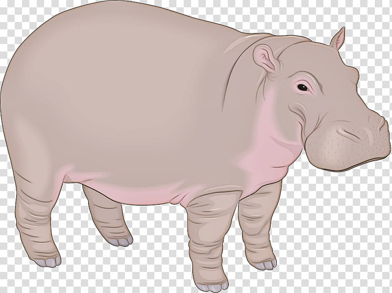Elephant, Hippopotamus, Silhouette, Drawing, Cartoon, Animal Figure, Pink, Snout transparent background PNG clipart