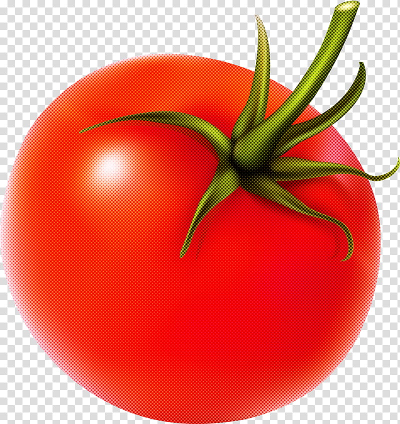 Tomato, Natural Foods, Red, Solanum, Fruit, Vegetable, Plum Tomato, Plant transparent background PNG clipart