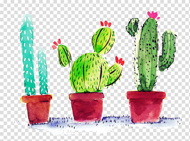 Cactus, Flowerpot, Plant, Saguaro, Houseplant, Terrestrial Plant, Caryophyllales, Succulent Plant transparent background PNG clipart