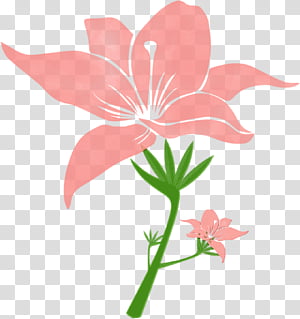 Floral design, Watercolor, Paint, Wet Ink, Coral, Watercolor Painting, Green, Flower transparent background PNG clipart thumbnail