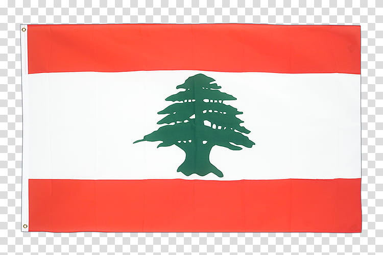 Brazil Flag, Lebanon, Flag Of Lebanon, National Flag, Coat Of Arms Of Lebanon, Flags Of Asia, Flag Of Jordan, Flag Of Kuwait transparent background PNG clipart