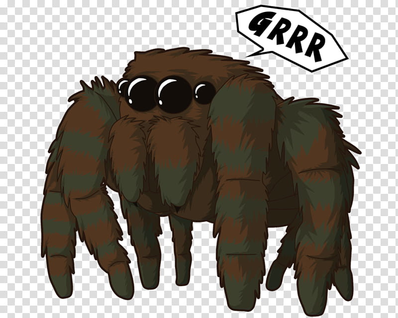Jumping Spider., brown and gray spider illustration transparent background PNG clipart