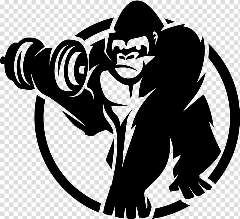 Gorilla, Exercise Equipment, Sports, Bench, Dumbbell, Indoor Rower, Physical Fitness, Kettlebell transparent background PNG clipart