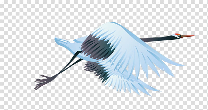 Crane Bird, Redcrowned Crane, Cartoon, Wing, Feather, Beak transparent background PNG clipart
