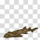 Spore creature Spotted wobbegong female transparent background PNG clipart