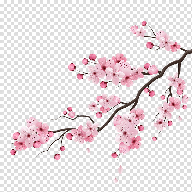 Cherry Blossom Tree Drawing, Cherries, Tattoo, Branch, Painting, Flower, Pink, Plant transparent background PNG clipart
