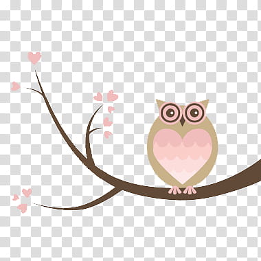 hermosos, brown and pink owl on tree branch illustration transparent background PNG clipart