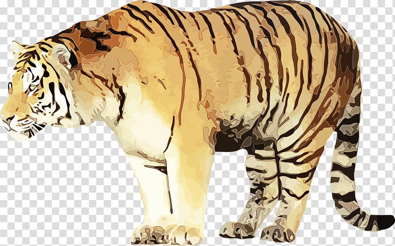 wildlife terrestrial animal bengal tiger tiger animal figure, Watercolor, Paint, Wet Ink, Siberian Tiger transparent background PNG clipart