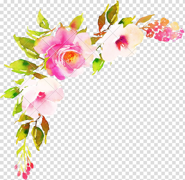 Floral design, Flower, Pink, Cut Flowers, Plant, Petal, Branch, Prickly Rose transparent background PNG clipart