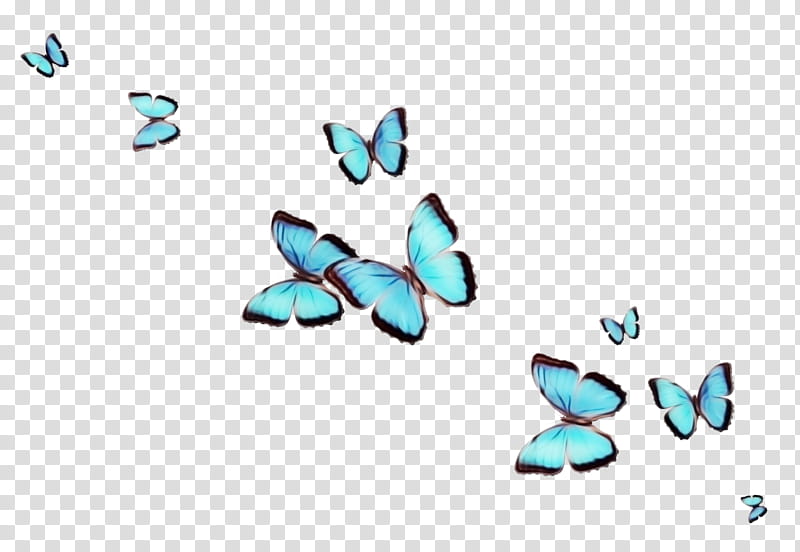 turquoise blue aqua butterfly azure, Watercolor, Paint, Wet Ink, Moths And Butterflies, Insect, Wing transparent background PNG clipart