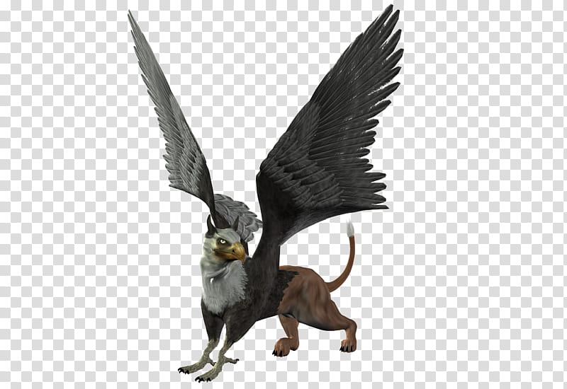 gryphon, gryphon CGI transparent background PNG clipart