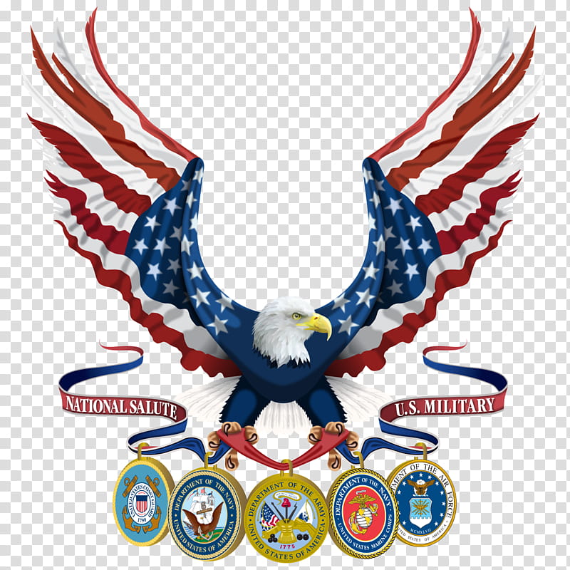 Sea Bird, Vietnam Veterans Memorial, SALUTE, United States Armed Forces, Soldier, Military, United States Army, Peoples Army Of Vietnam transparent background PNG clipart