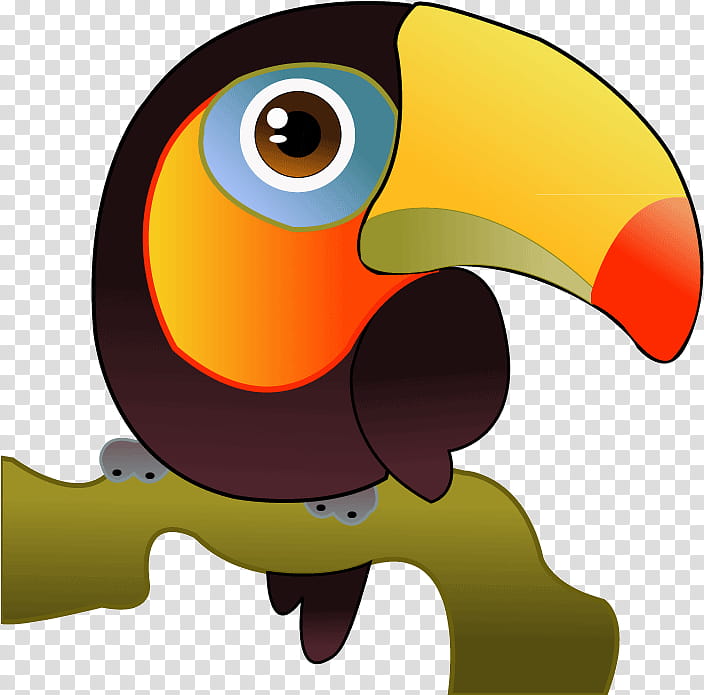 Hornbill Bird, Toco Toucan, Parrot, Beak, Whitethroated Toucan, Channelbilled Toucan, Piciformes, Ramphastos transparent background PNG clipart