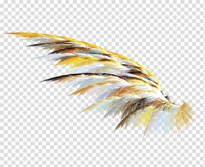 Fractal Wings , multicolored wing painting transparent background PNG clipart