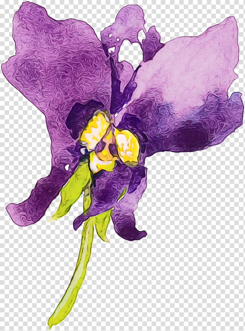 violet purple flower plant watercolor paint, Wet Ink, Flowering Plant, Iris, VIOLA, Violet Family transparent background PNG clipart