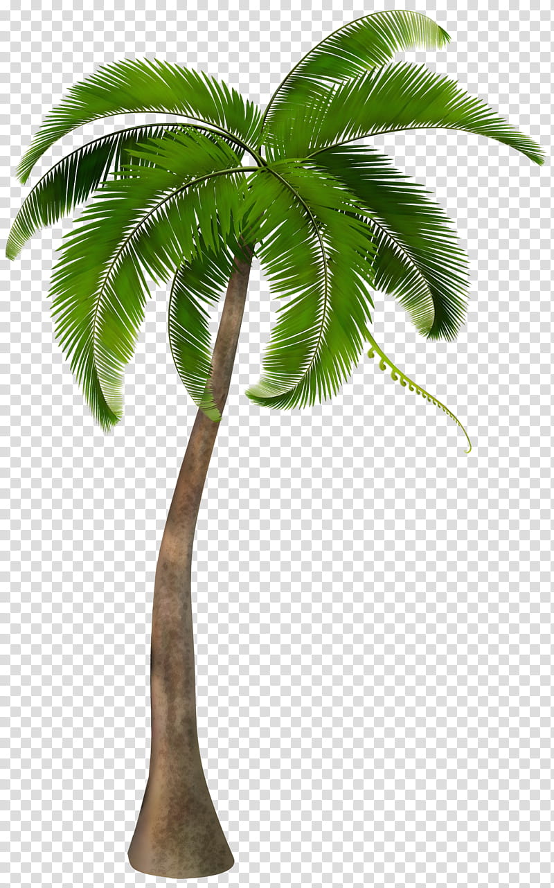 palm tree trunk clip art