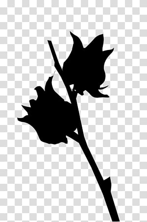 Plane, Flower, Leaf, Plant Stem, Silhouette, Line, Computer, Plants transparent background PNG clipart thumbnail