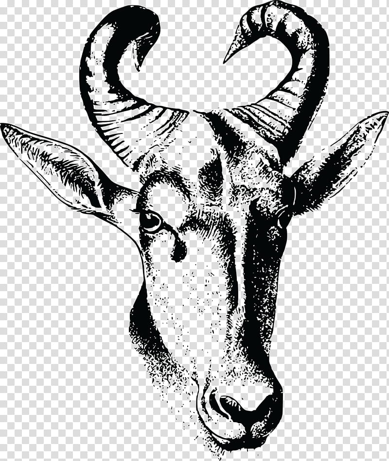 Drawing Of Family, Wildebeest, Hartebeest, Horn, Silhouette, Painting, Bovidae, Head transparent background PNG clipart