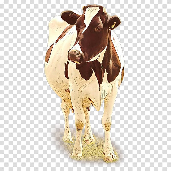 dairy cow bovine calf cow-goat family live, Cartoon, Cowgoat Family, Live, Animal Figure, Fawn transparent background PNG clipart