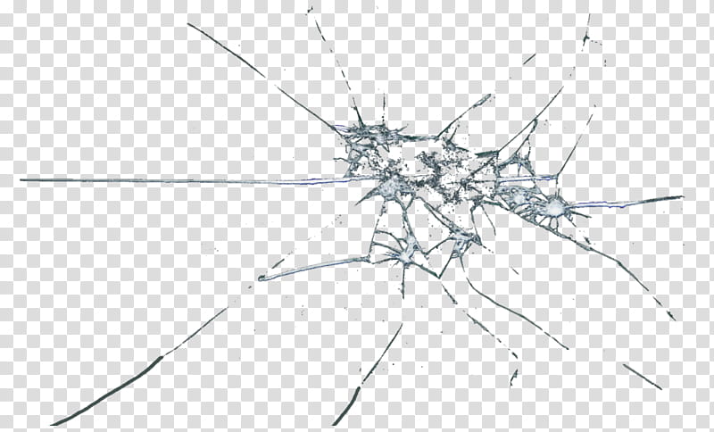 Web Design, Window, Glass, Line, Insect, Line Art, Blackandwhite, Pest transparent background PNG clipart