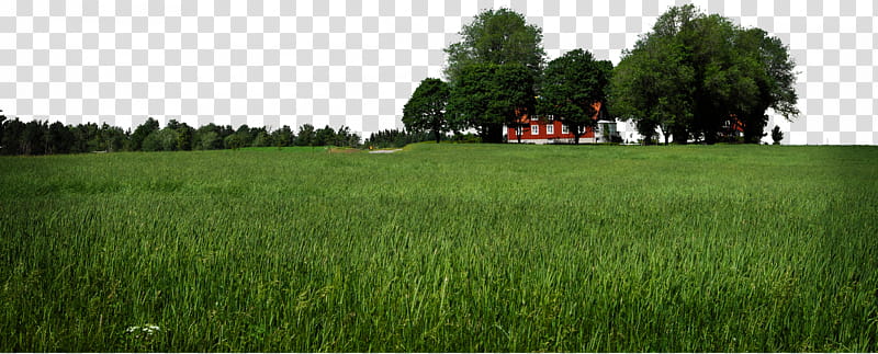 Cutout landscape, green field transparent background PNG clipart