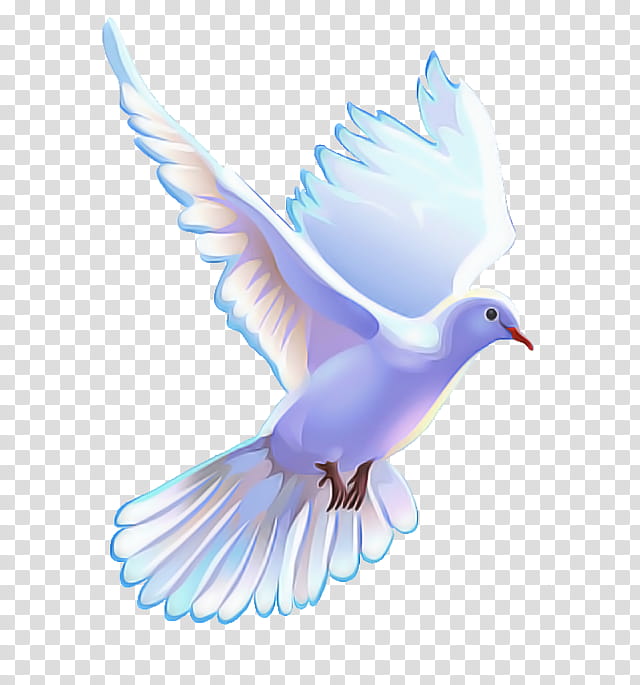holy dove clip art