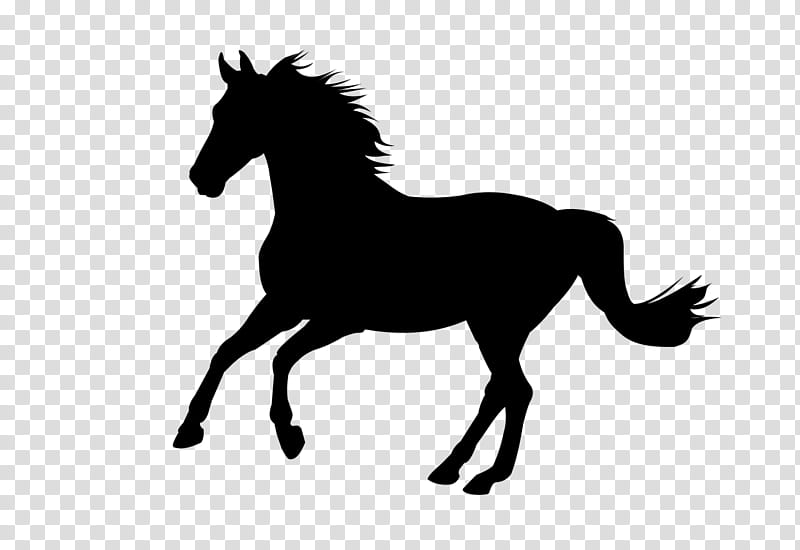 Cat Silhouette, Horse, Feral, Feral Cat, Drawing, Animal, Mane, Hair transparent background PNG clipart