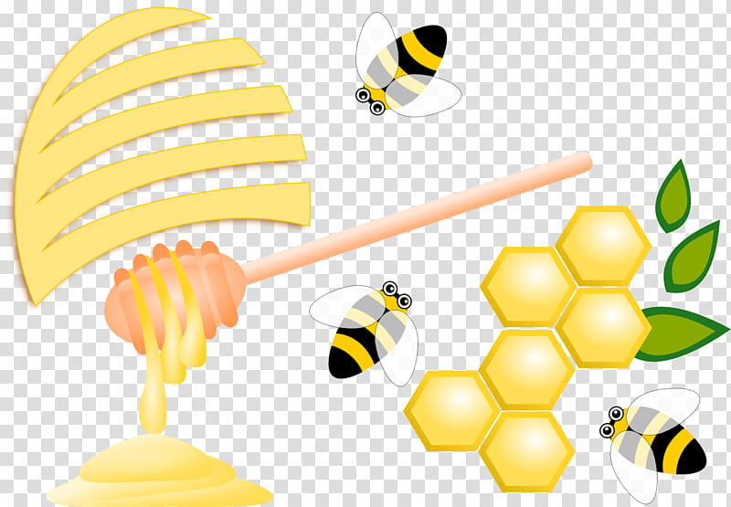 Bumblebee, Yellow, Honeybee, Membranewinged Insect, Pollinator transparent background PNG clipart