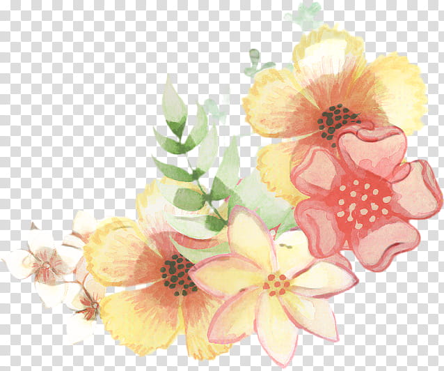 Pink Flower, Floral Design, Cut Flowers, Still Life, Still Life , Blossom, Peach, Plants transparent background PNG clipart