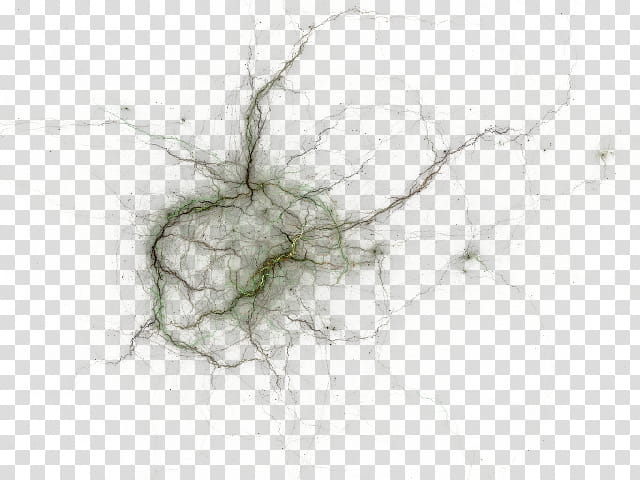 Vines, green crack abstract painting transparent background PNG clipart