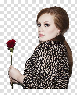 Adele transparent background PNG clipart