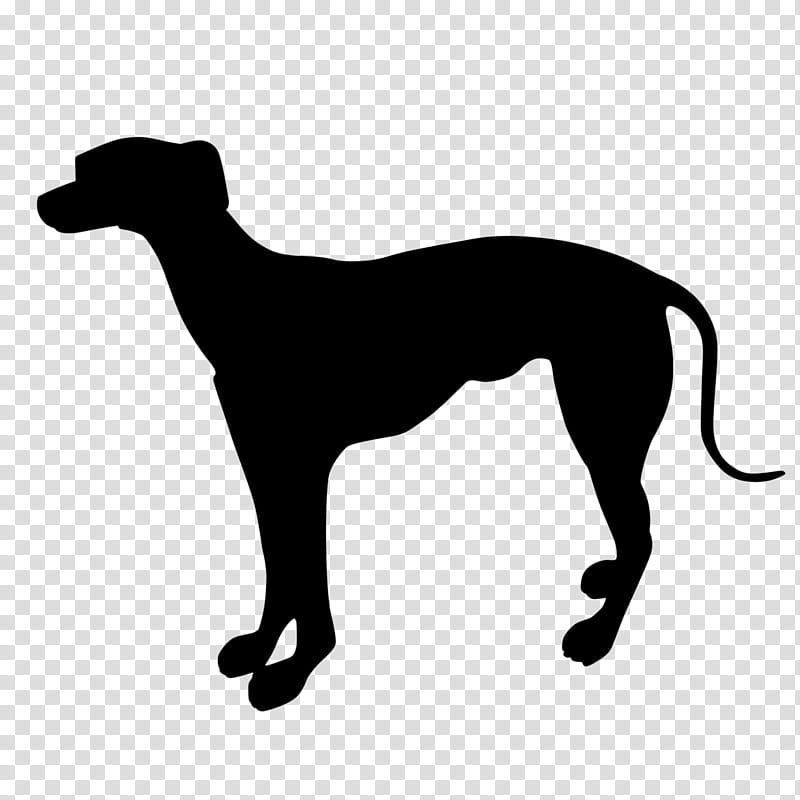 Dog Silhouette, Italian Greyhound, Whippet, Sloughi, Spanish Greyhound, Longdog, Sighthound, Leash transparent background PNG clipart