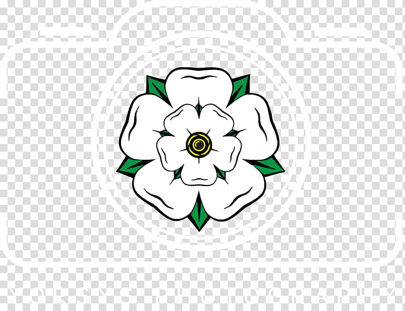 Yorkshire Rose, White Rose Of York, Tudor Rose, Flags And Symbols Of Yorkshire, Luther Rose, Greeting Note Cards, Tattoo, Yorkshire Day transparent background PNG clipart