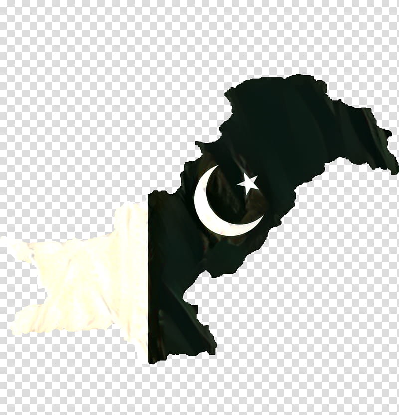 Pakistan Independence Day, Flag Of Pakistan, Map, Map Collection, Blank Map, Independence Day Of Pakistan, World Map, Black transparent background PNG clipart