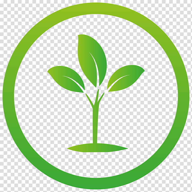 Green Leaf, Seedling, Succulent Plant, Plants, Solar Power, Vitrified Tile, Customer, Renewable Resource transparent background PNG clipart