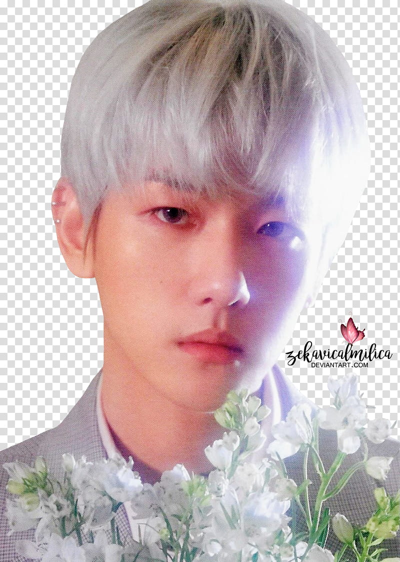 EXO CBX Baekhyun Blooming Days, man in gray collared top transparent background PNG clipart